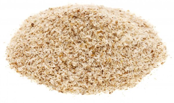 Plantago-ovata-1 (2).jpg